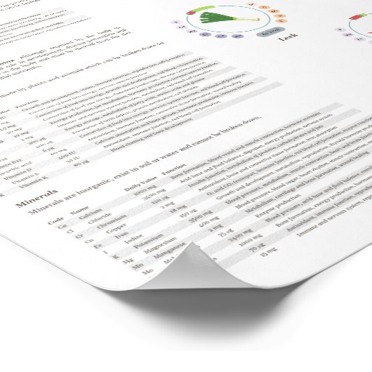 Vegetables - Nutritional values - Infographic ポスター (角)
