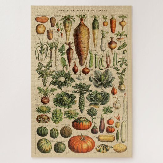 Vegetables Vintage French Book Page ジグソーパズル (縦)
