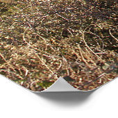 Velarde New Mexicoの近くの谷 – ポスター (角)