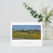 Velddrif West Coast野生の花South Africa SA ポストカード (スタンド正面)