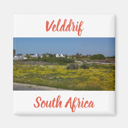 Velddrif West Coast野生の花South Africa SA マグネット (正面)