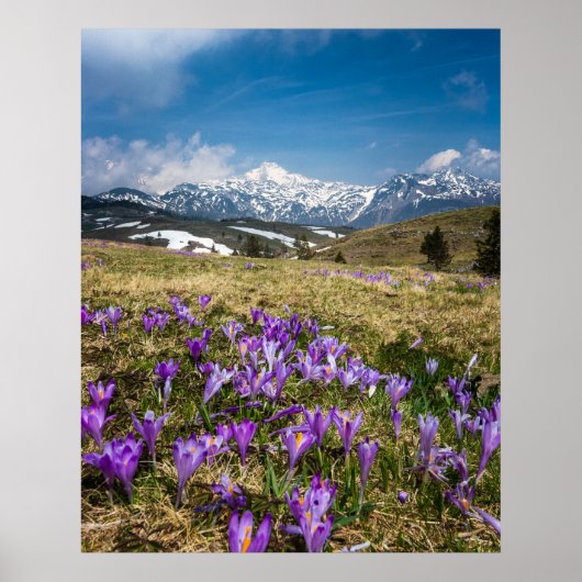 Velika Planina, Slの山とカラスの花 ポスター (正面)