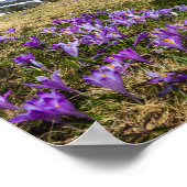 Velika Planina, Slの山とカラスの花 ポスター (角)