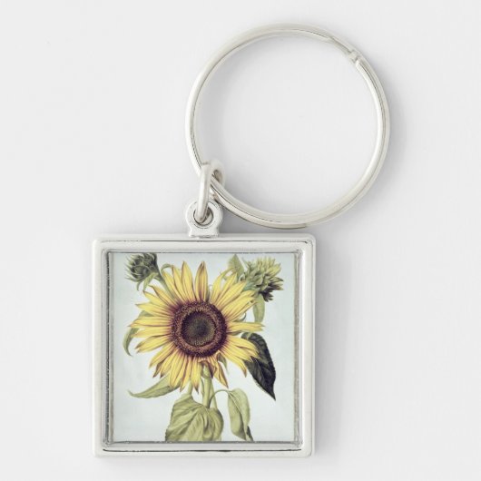 「Velins du Roi Vol.36'からのHelianthus Annuus キーホルダー (正面)
