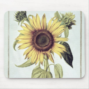 「Velins du Roi Vol.36'からのHelianthus Annuus マウスパッド
