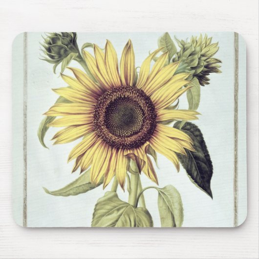 「Velins du Roi Vol.36'からのHelianthus Annuus マウスパッド (正面)