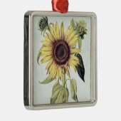 「Velins du Roi Vol.36'からのHelianthus Annuus メタルオーナメント (右)