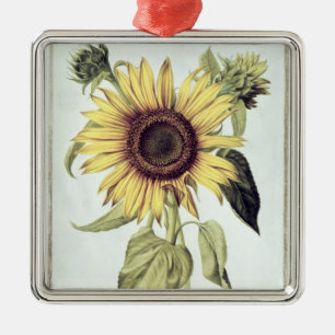 「Velins du Roi Vol.36'からのHelianthus Annuus メタルオーナメント