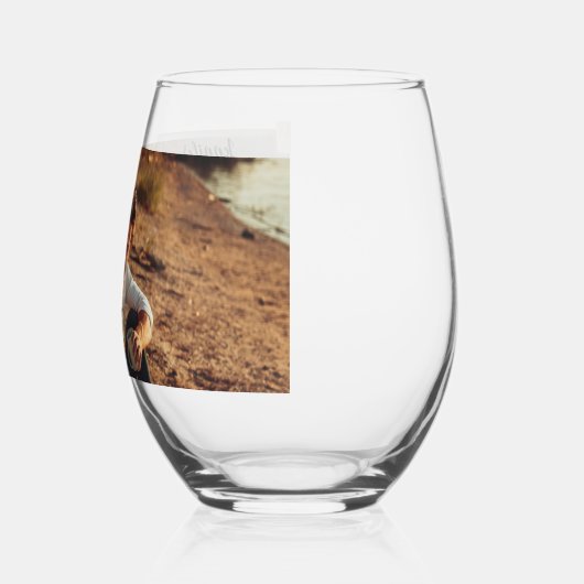 Vellumフォトオフェイクーバーレイカスタムウェディング ステムなしワイングラス (左)