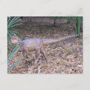Velociraptor – 恐竜学のカード ポストカード