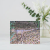 Velociraptor – 恐竜学のカード ポストカード (スタンド正面)