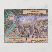 Velociraptor – 恐竜学のカード ポストカード (裏面)