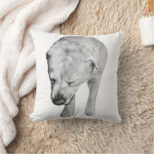 Velvet-Tone Labrador, Gentle Gaze クッション (ブランケット)
