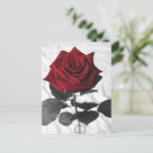 VelvetRose ポストカード (スタンド正面)