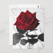 VelvetRose ポストカード (正面/裏面)