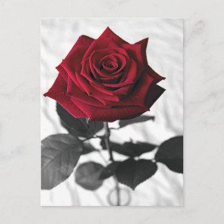 VelvetRose ポストカード