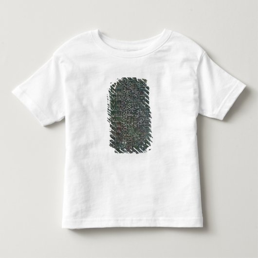 venetic銘刻文字が付いている奉納のプラク トドラーTシャツ (正面)