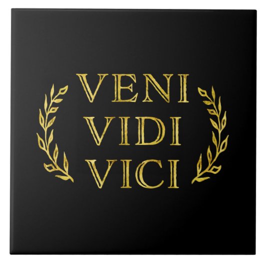 Veni Vidi Viciのおもしろいなゲームの勝者 タイル (正面)