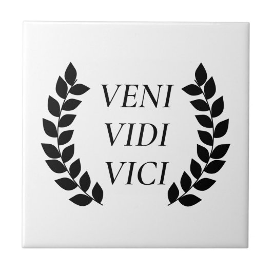 Veni Vidi Vici タイル (正面)