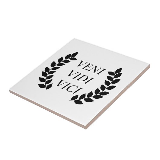 Veni Vidi Vici タイル (側面)