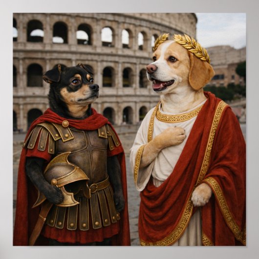 "Veni, Vidi, Vici" ポスター (正面)