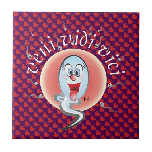 veni vidi vici Fliese タイル (正面)