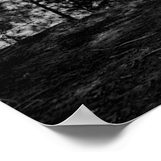 Venison on a Stick、1900年代初期 ポスター (角)