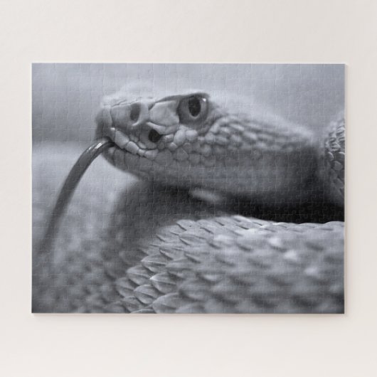 Venomous Rattlesnake in Monochrome, Jigsaw Puzzle ジグソーパズル (横)