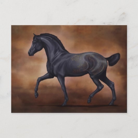 Ventusポストカード ポストカード (正面)