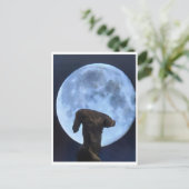 Venus and the Moon ポストカード (スタンド正面)