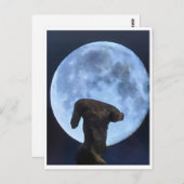 Venus and the Moon ポストカード (正面/裏面)