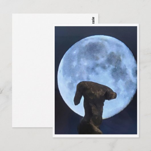 Venus and the Moon ポストカード (正面/裏面)