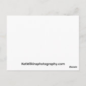 Venus and the Moon ポストカード (裏面)