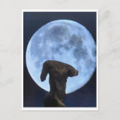 Venus and the Moon ポストカード (正面)