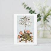 Venus Fly-trapプレート84コレクション降水量 ポストカード (スタンド正面)