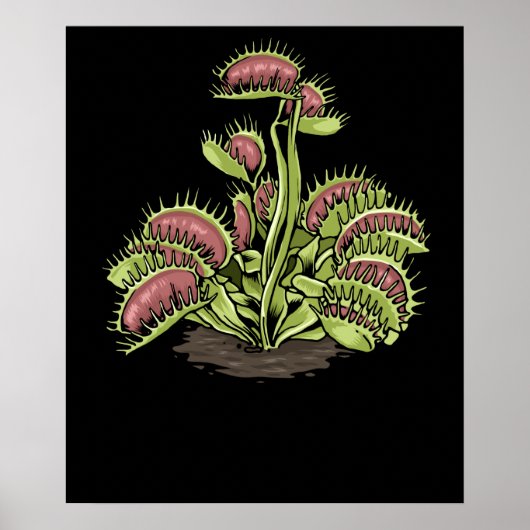 Venus Fly Trap Plant Carnivorous Plant Venus Fly ポスター (正面)