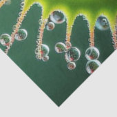 Venus Flytrap Floral Whimsical Fun Wild 薄葉紙 (詳細)