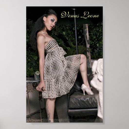 VENUS LEONEポスター ポスター (正面)