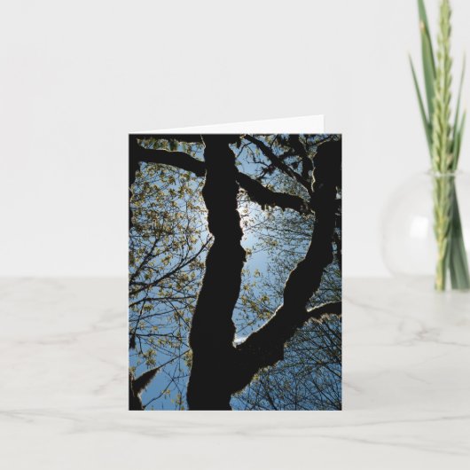 VER カード (正面)