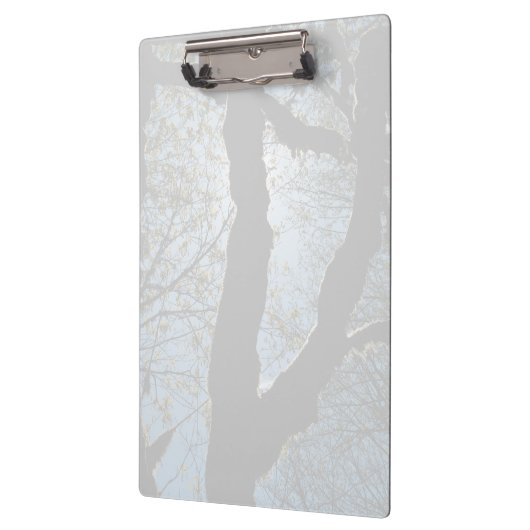 VER クリップボード (左)