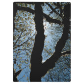 VER クリップボード (裏面)