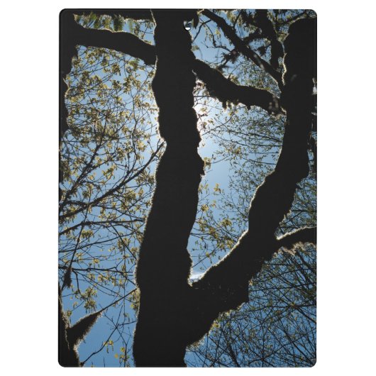 VER クリップボード (裏面)