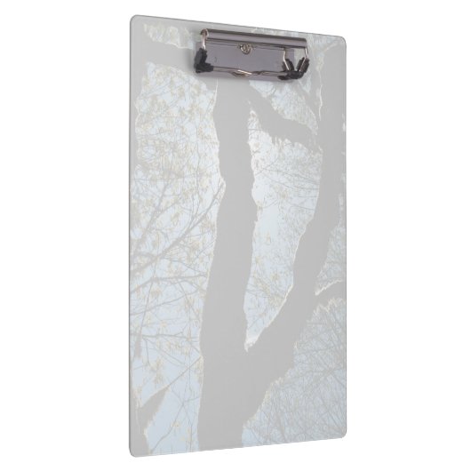 VER クリップボード (右)