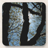 VER コースター (正面)