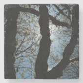 VER ストーンコースター (正面)