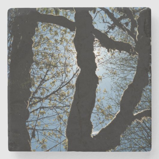 VER ストーンコースター (正面)