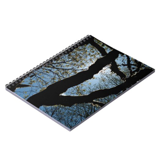 VER ノートブック (左側)