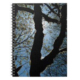 VER ノートブック