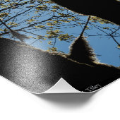 VER フォトプリント            (角)