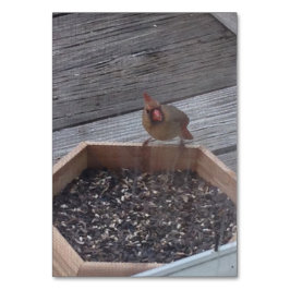 Verbs 食べ物Robin Bird's Flashcardに読着席 テーブルナンバー